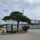 신두해수욕장 중앙 이미지