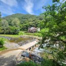 시내산펜션 이미지