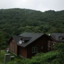 용인자연휴양림 이미지