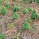 덕솔이네 이미지