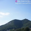 동막해변 티스토리