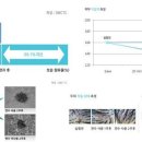 다이어트의 기본, 워터테라피 이미지