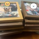 서울시엘림노인전문요양원(남부엘림) | [군포 동물매개치료] 어버이날 선물, 리아·나들이와 함께한 '인생 사진' 액자에 담긴 눈물과 웃음