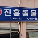 대가야 동물병원 이미지