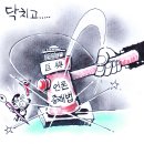 2021년 08월 21일 토요일 오늘이 포토 뉴스 시사 만평 떡메 이미지
