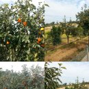 길원농장 이미지