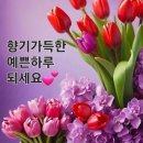 향기가득 이미지