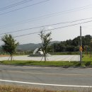 성주한우 이미지