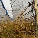 당골농원 이미지