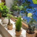 619디자인 이미지