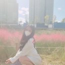 금산로하스