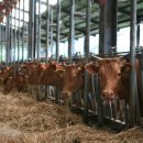 합천축산업협동조합 배합사료공장 이미지