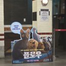 플로우 | 영화 플로우 관람 후기 :-)