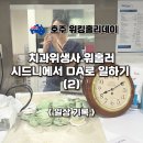 [호주워홀] 치과위생사 워홀러. 시드니에서 DA로 일하기(2) _ 일상기록