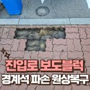 남촌도림동-46 | 진입로 보도블럭 시정명령 경계석 파손 원상복구