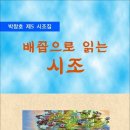 배꼽으로 읽는 시조 / 박창호 시조집 (전자책) 이미지