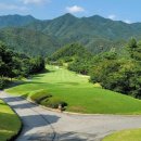 크리스탈 골프 이미지