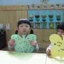 새아기나라어린이집 이미지