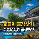 마일랑관광펜션 | 단양 펜션 추천｜꽃들의 물감찾기 10만원대 수영장·계곡 숙소 후기