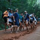 대원관광㈜ 이미지