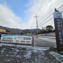 골든파인트리 이미지