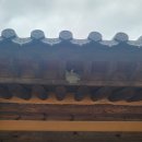 학천축사 | [하동 여행] 하동 가볼만한 곳, 소설 토지의 배경 최참판댁