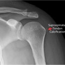 옥련한의원 이미지