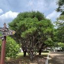 사명대사유적지(생가지) 이미지