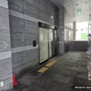 안락초등학교 이미지