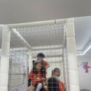 학림빌딩 | [서초 방배/잼잼키즈룸] 7살 어린이집 친구들과 대관키카 후기