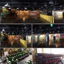 울프게임랜드 이미지