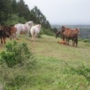 무릉2리마을회관 이미지