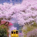 향기4로 이미지