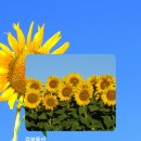 소룡동사무소 이미지