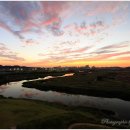 갯골생태공원 이미지