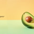 도도아이덴티티