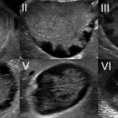 로로동물의료센터 이미지