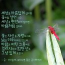 "'시산회'(詩山會) 490회 '우면산둘레길' 산행 사진"＜2024.08.10(토)＞ 이미지