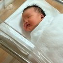 봄빛병원 응급제왕 출산 및 입원 (39w+2)