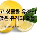 유자차 효능 유자차 칼로리 감기 유자 제철 이미지