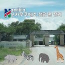 기린주유소 | [나미비아 에토샤] 오카우쿠에조 캠핑장 총정리/주의 사항 꿀팁 가격 등