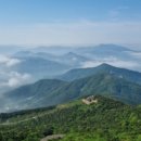 하동케이블카 이미지