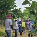 대봉농촌체험휴양마을 이미지