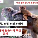혜원컨설팅연구소