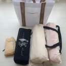 솜솜 스포츠 | 서울 한강 피크닉 명소 추천 반포한강공원 vs 뚝섬한강공원 야경 명소,피크닉 준비물 추천(돗자리,경량...