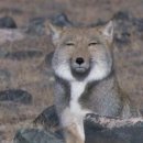 스텔루나 짬뽕