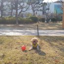 라포(Rapport) 네이버블로그