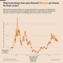 토모Tomo 이미지