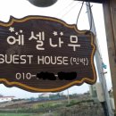 에셀나무게스트하우스 이미지