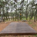 대천해수욕장 야영장 이미지